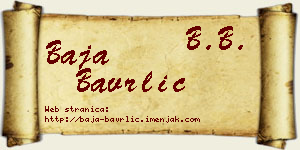 Baja Bavrlić vizit kartica